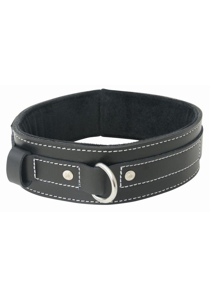 Edged Lined Adjustable Leather Collar - Black/Metal