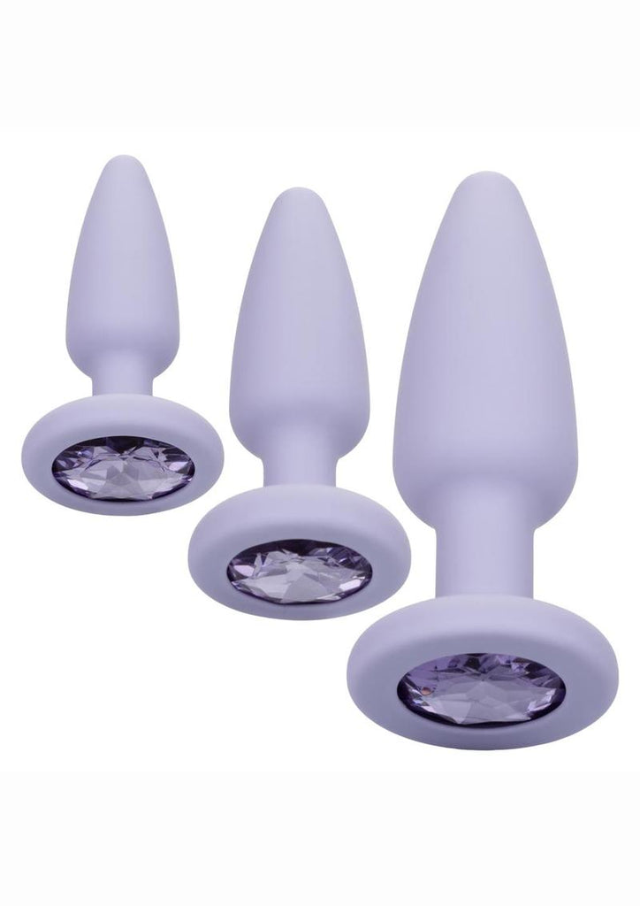 First Time Crystal Booty Kit Silicone Probes - Purple - 3 Piece