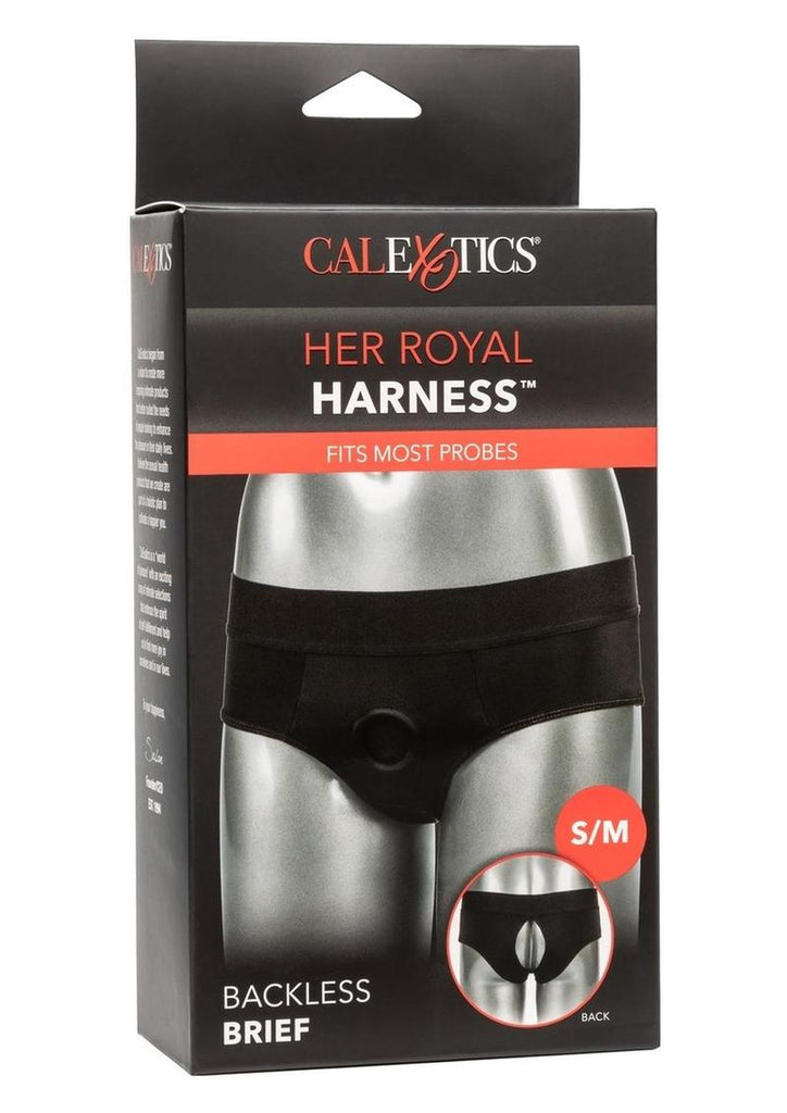 Her Royal Harness Backless Brief - Black - Medium/Small