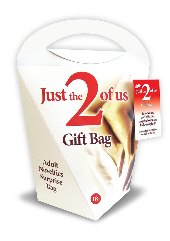 Just The 2 Of Us Gift Bag Adult Novelty Surprise - Bag