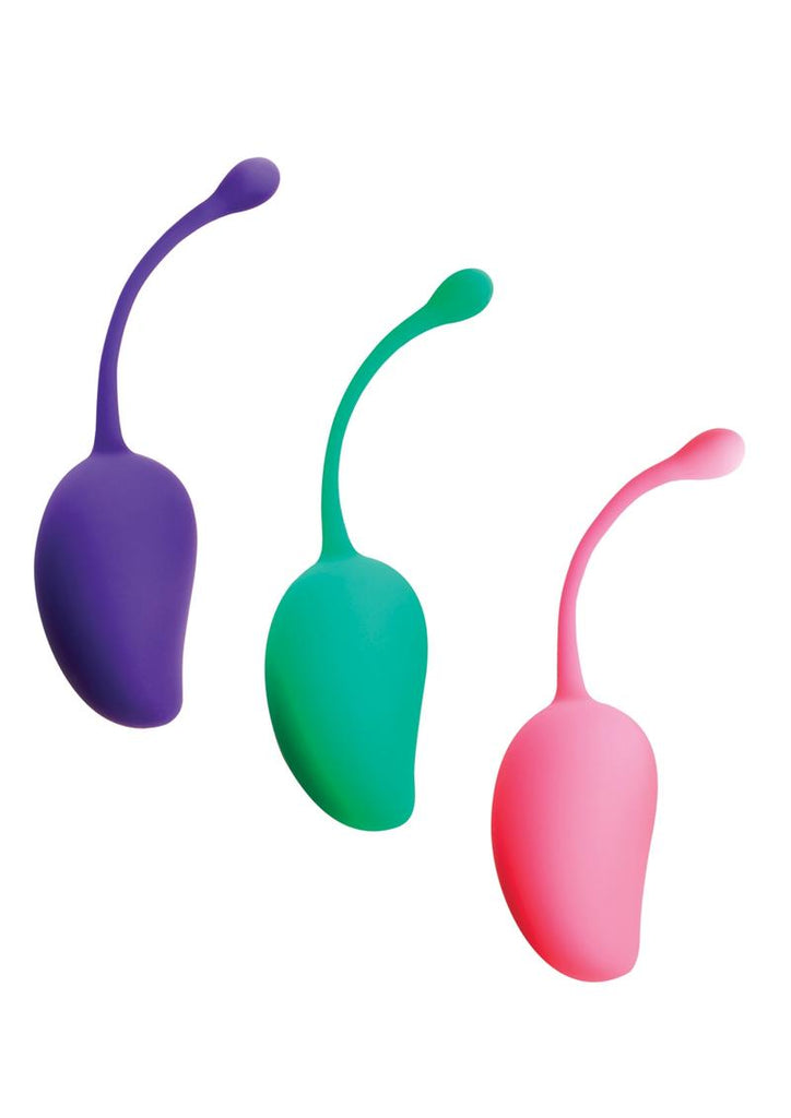 Sincerely Silicone Kegel Exercise System Kit - Assorted Colors/Multicolor - 3 Pack