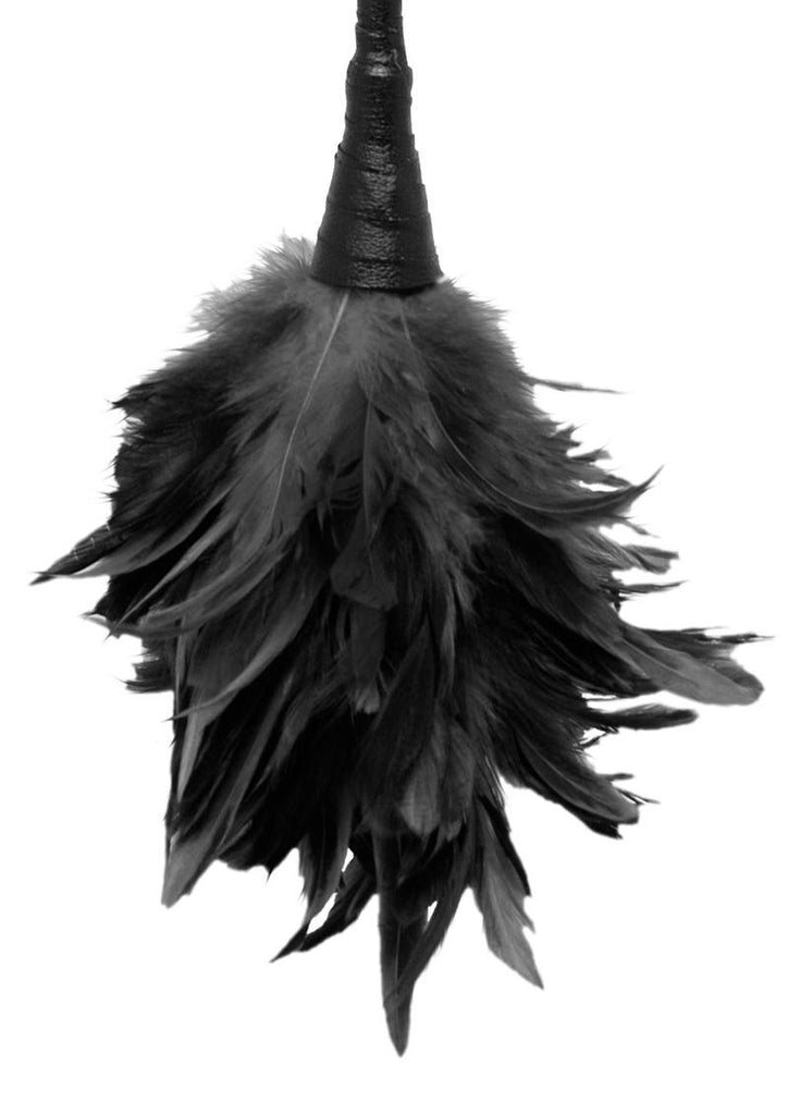 Fetish Fantasy Series Frisky Feather Duster - Black - 14in