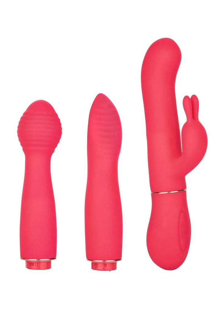 In Touch Dynamic Trio Rechargeable Silicone Vibrator with 3 Interchangeable Attachments - Pink