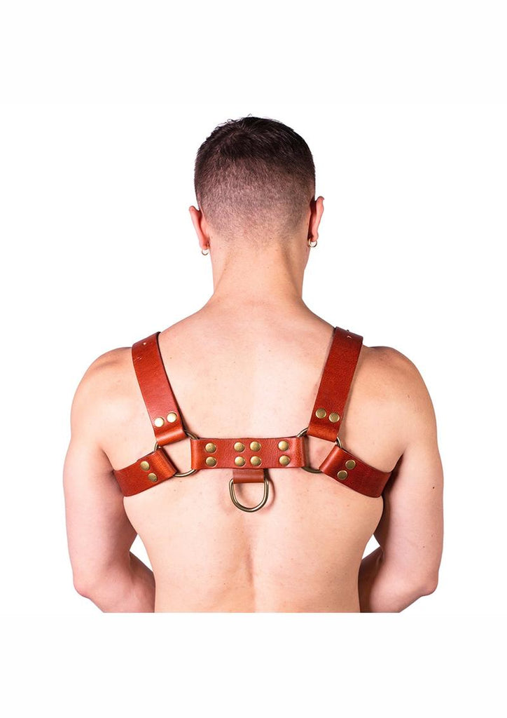 Prowler Red Butch Harness - Xlarge - Brown/Brass - Brown - XLarge